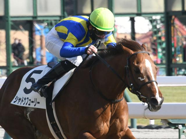 【京王杯SC見どころ】シャドウフューリーが重賞初制覇を狙う