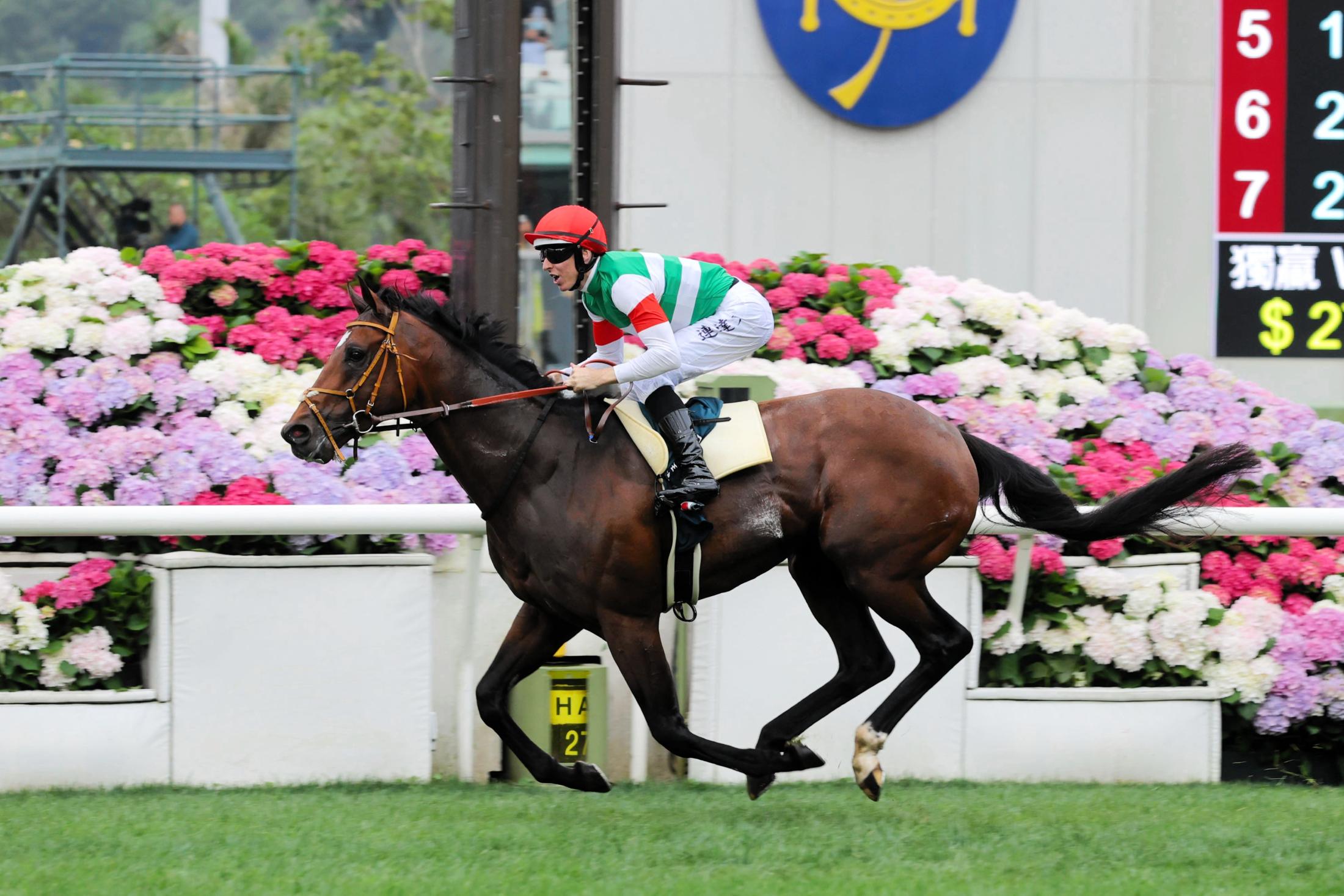 【クイーンエリザベス２世Ｃ】タスティエーラがＶ！プログノーシスが３年連続２着　３冠牝馬リバティアイランドは競走中止
