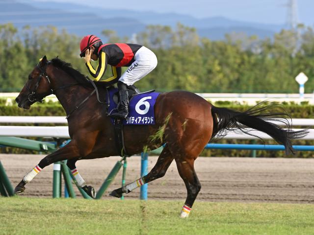 リバティアイランドの献花台を設置 ノーザンホースパークが発表