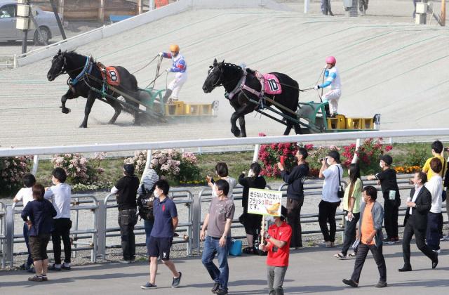 ばんえい競馬