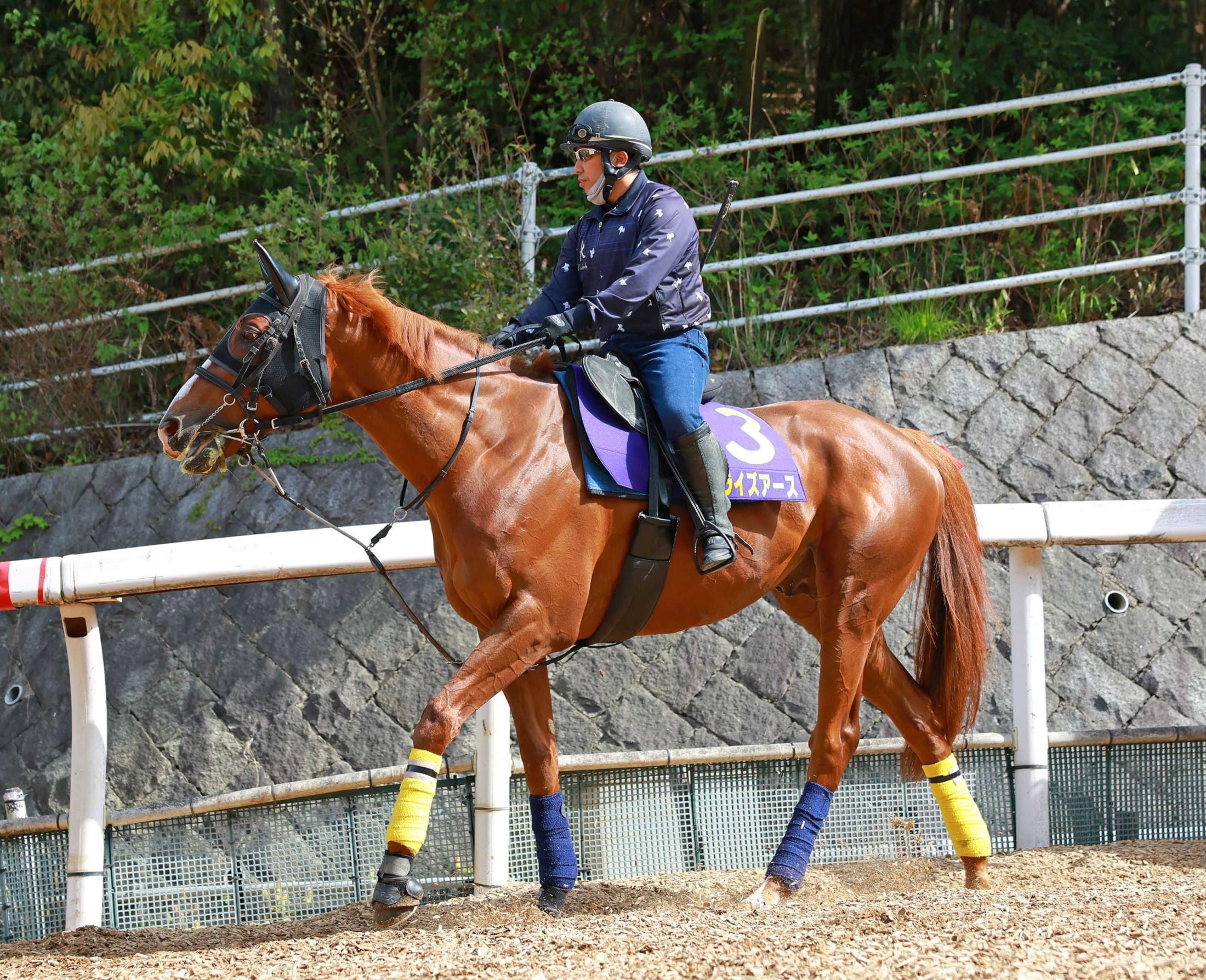 【天皇賞】阪神大賞典を制したサンライズアース　長距離界制圧へ最有力ローテでトップ評価　７週連続Ｇ１開幕戦