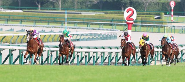 【天皇賞・春】サンライズアースにデータも後押し!過去、阪神大賞典5馬身差以上V馬は本番全て馬券圏内