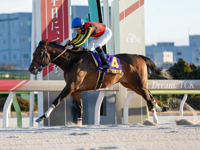 【大井・羽田盃注目馬】重賞6馬身差Vのナチュラルライズvs無傷3連勝のジャナドリア 三冠初戦で注目の初対決
