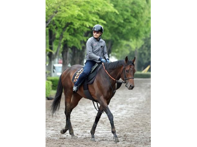 【羽田盃】無敗で雲取賞を制したジャナドリアの武井調教師「とてもいい動き」…主な出走馬の陣営コメント