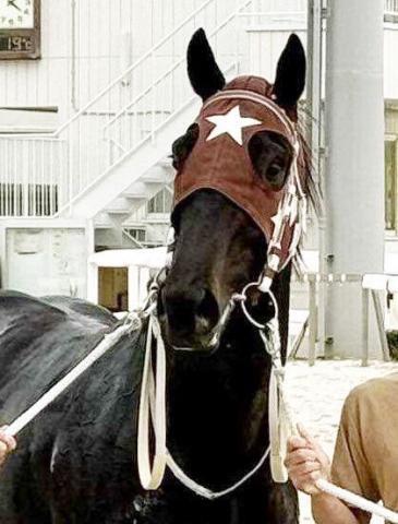 【羽田盃】穴党の食指が動いた!デビュー4連勝の内容を再考…初黒星の前走から巻き返し必至の地方馬に注目