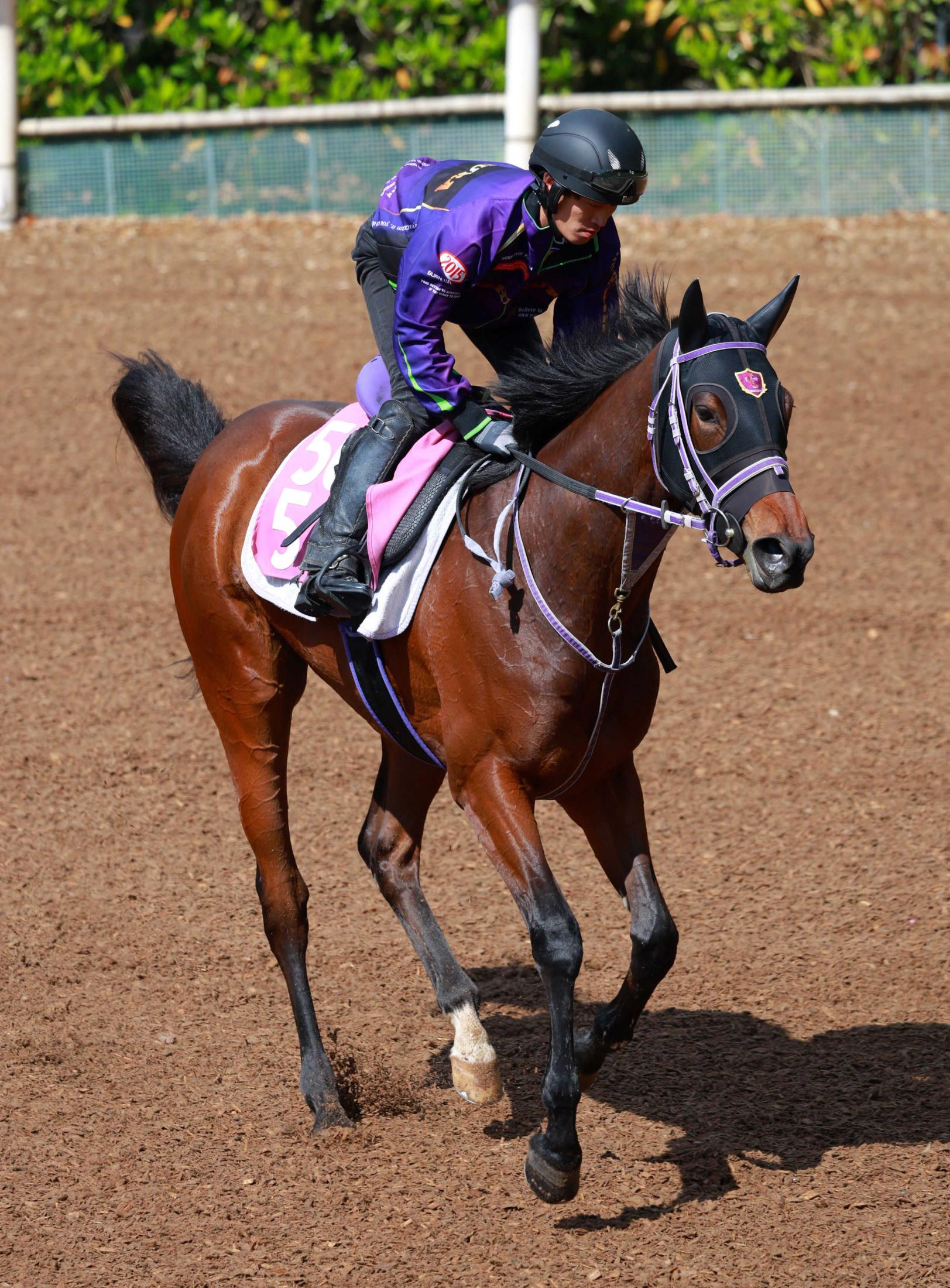 【ユニコーンＳ】ヴィリアリート　牡馬一蹴で初タイ獲る　２戦２勝好相性の京都で