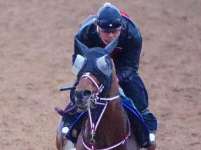 【天皇賞・春】ジャンカズマで“西田師色”鮮明に!開業4年目…「我慢強く」一歩ずつ