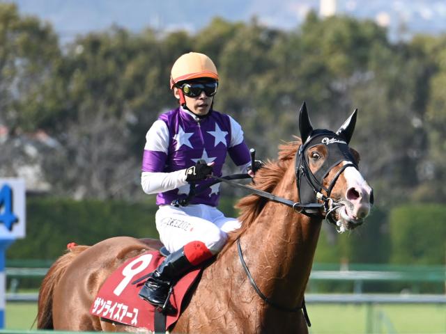 【週末情報】サンライズアース気合注入！/馬三郎のつぶやき