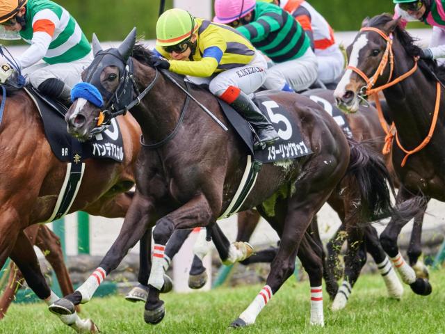 【島原特別】母は名牝ソウルスターリング スターリングアップが待望3勝目なるか
