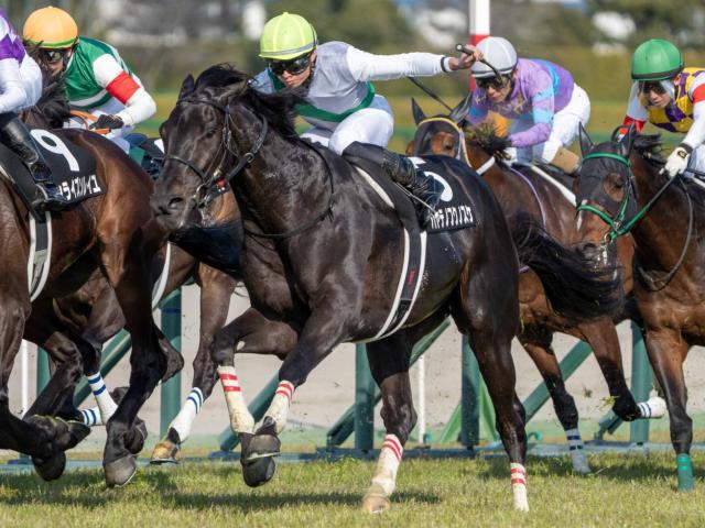 【天皇賞(春)】青森産馬の24年ぶりGI制覇なるか ハヤテノフクノスケが強豪撃破狙う