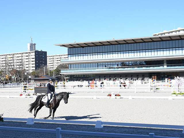 国内トップレベルの人馬が集結！ JRAホースショーが5月3日より馬事公苑で開催