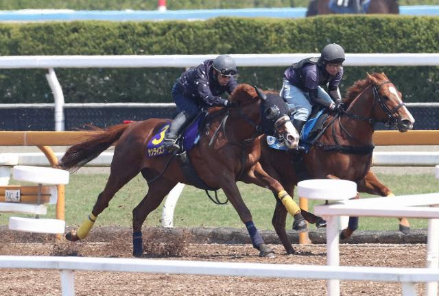 【天皇賞・春】サンライズアース　6馬身差V再現可能!池添手応え「底知れない能力ある」