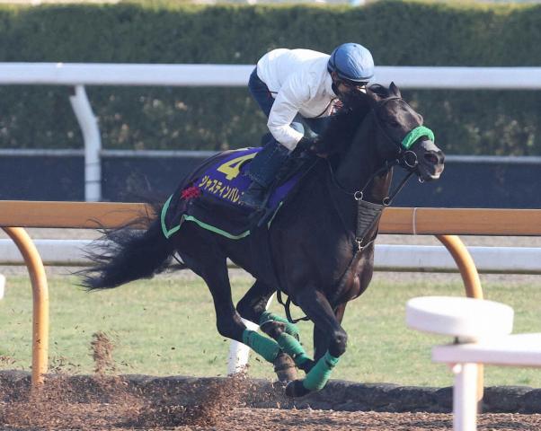 【天皇賞・春】ジャスティンパレス　前走から上積み実感　杉山晴師「今回はもっといい競馬ができる」