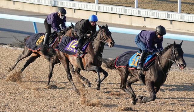 【天皇賞・春】ヘデントール　振るわない菊花賞2着の4歳馬…24頭で2勝