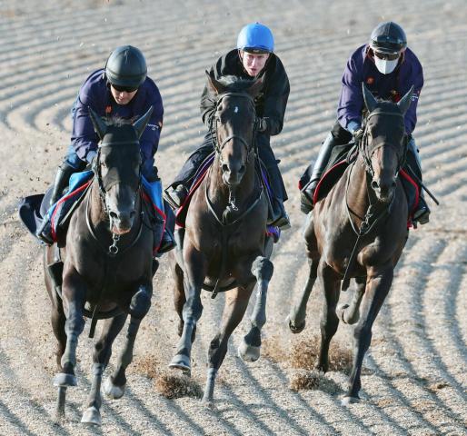 【天皇賞・春】今週から短期免許で騎乗のレーン騎手、伸び盛り4歳馬を大絶賛「すごくいい馬だし、言うことがない」