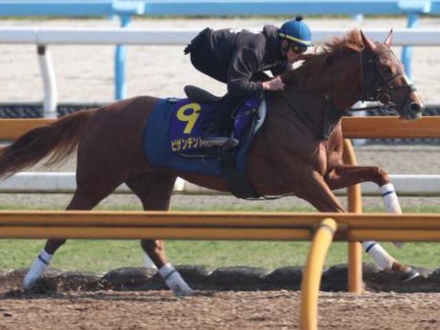 【天皇賞・春】海外で覚醒!ビザンチンドリーム　CWでしまい重点ラスト1F11秒3