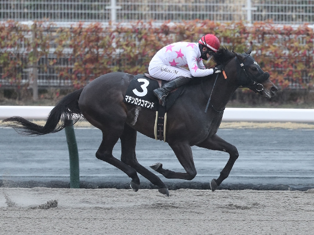 【園田・兵庫CS注目馬】今年もJRA所属馬が上位を占めるか 3歳ダート短距離王の座はどの馬に