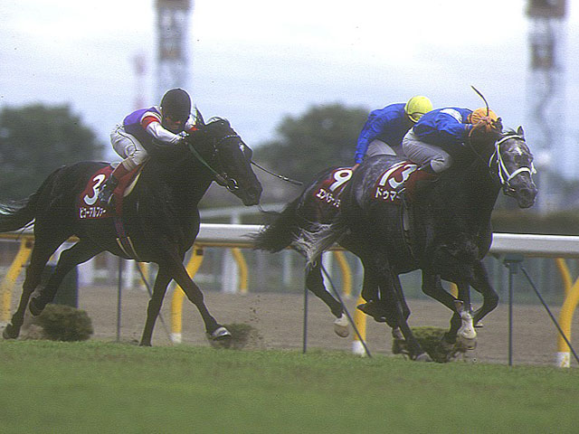 異国の地で挙げた重賞初制覇 17番人気のドゥマーニが勝利した京王杯SCから30年