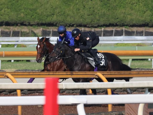アドマイヤズーム、NHKマイルC1週前追い切り速報/栗東トレセンニュース