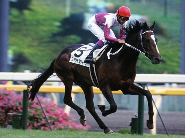 天才が掴み取ったきっかけ　最強世代のダービー馬、誕生の瞬間