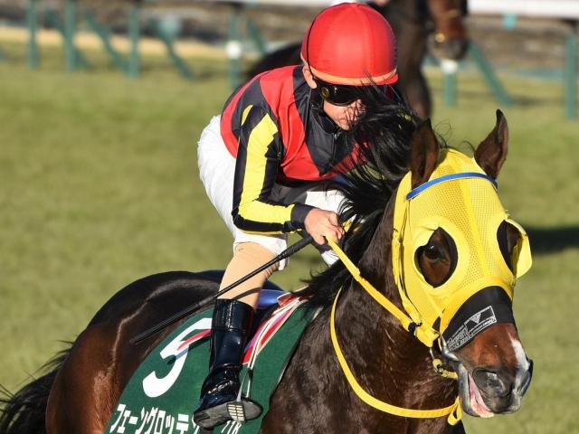 GI馬ピクシーナイトの半弟フェーングロッテン 障害戦で2年10カ月ぶりの勝利なるか