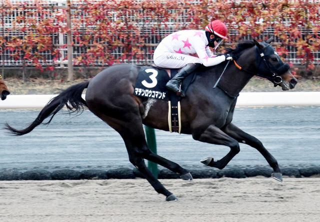 【兵庫CS】マテンロウコマンド4連勝で重賞初制覇　ダート6戦全て1400メートルに出走