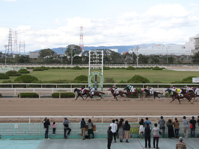 【園田・兵庫チャンピオンシップ結果】マテンロウコマンドが4連勝で重賞初制覇