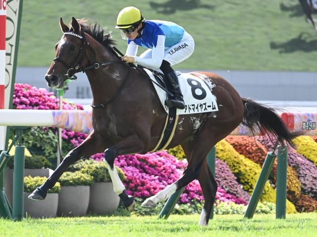 【POG】アドマイヤズーム反応大幅良化/馬三郎のつぶやき
