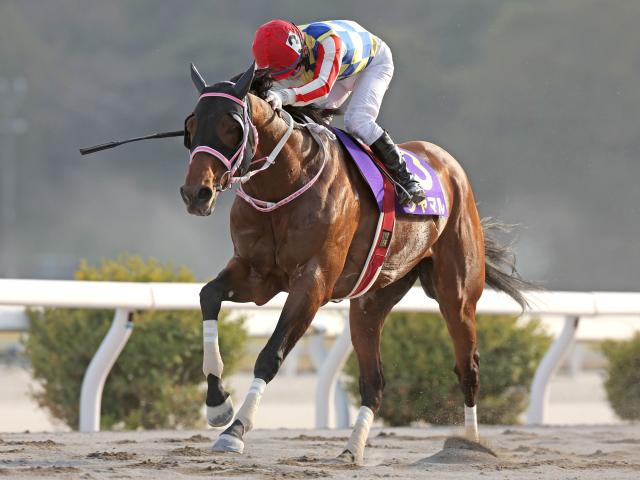 【有力馬動向】かしわ記念へ好調維持シャマル/馬三郎のつぶやき