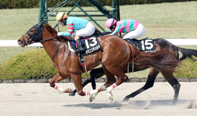 【兵庫CS】2番人気のヤマニンチェルキは4着　酒井学騎手「広い馬場の方がこの馬にとって競馬がしやすいかも」