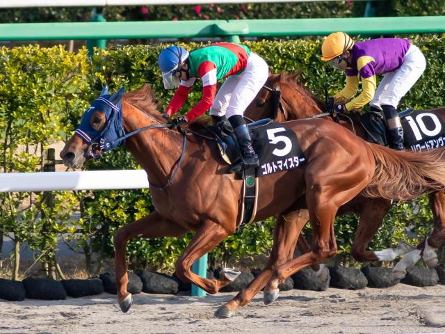 ゴルトマイスター産駒が25年新種牡馬一番乗り 門別6Rをトリップスが制す