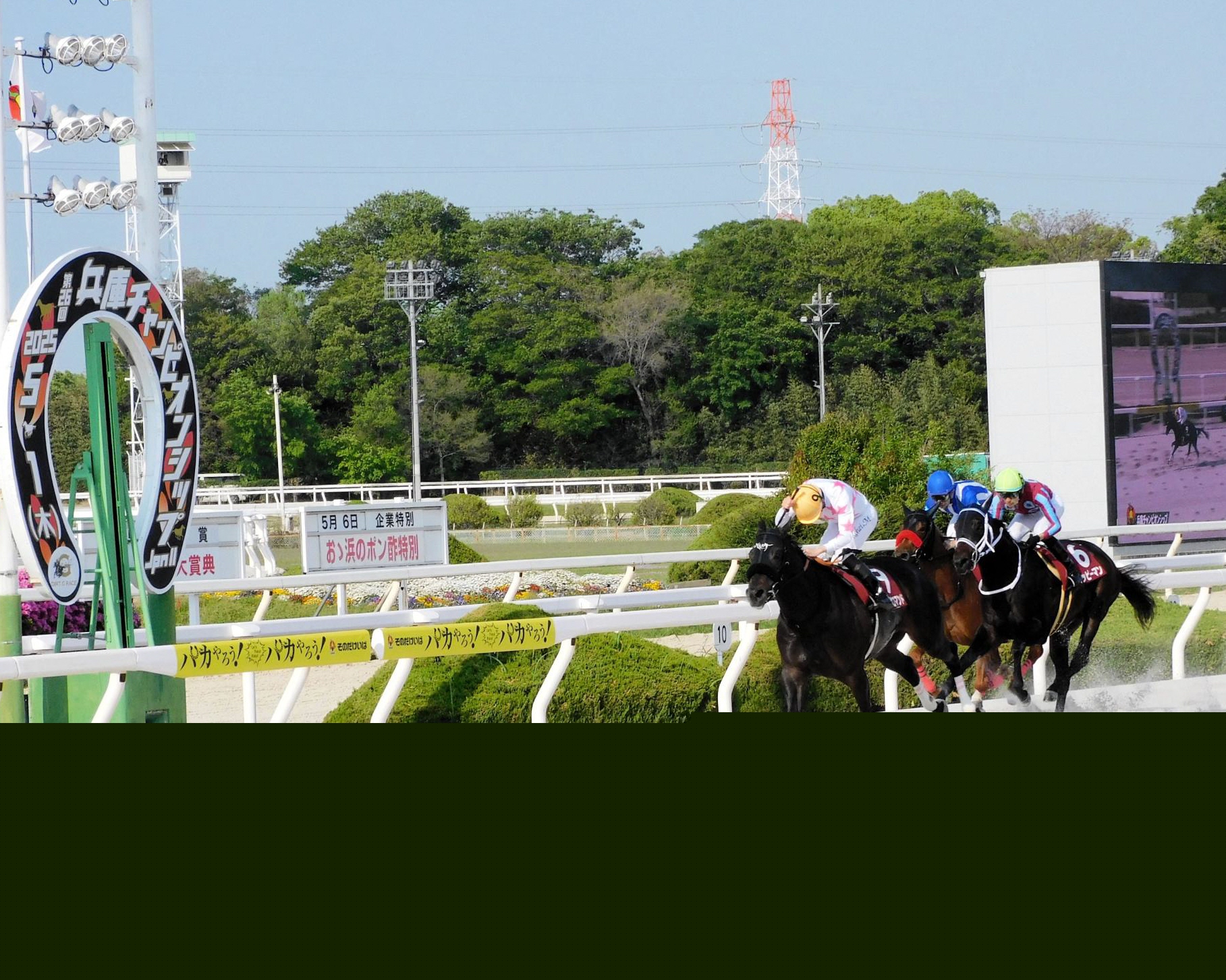【地方競馬】兵庫チャンピオンシップ　マテンロウコマンドが重賞初制覇