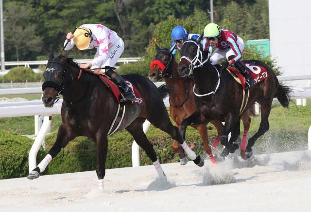 【園田競馬　Jpn2兵庫CS】1番人気マテンロウコマンド快勝　松山会心「理想通りの競馬ができた」