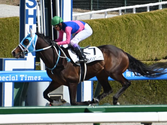 【ユニコーンS予想】今後のダート路線の主役を決める一戦!? 前走中山組が苦戦している最大の要因とは