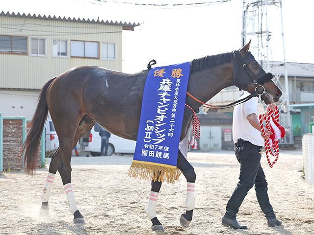 【兵庫CSレース後コメント】マテンロウコマンド松山弘平騎手ら
