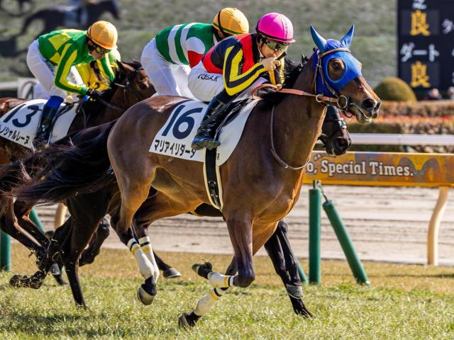 【スイートピーS】全兄はホープフルS覇者のドゥラエレーデ マリアイリダータが無傷2連勝なるか