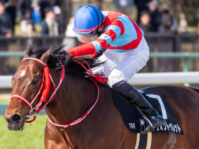 【ブリリアントS】レヴォントゥレットが5連勝なるか 母は重賞2勝馬クイーンマンボ