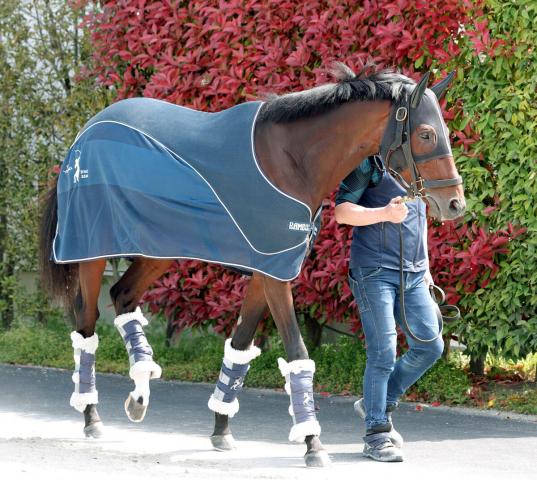 【天皇賞・春】昨年2着馬　歴代最多13勝の絶好枠ゲット　下り坂がカギ握る京都外回り　体幹の強さで克服　