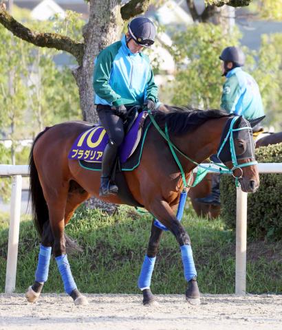 【天皇賞・春】06年に勝った父ディープインパクトと同じ7番枠　G1初勝利へ父子制覇へ池添師「並びいい」