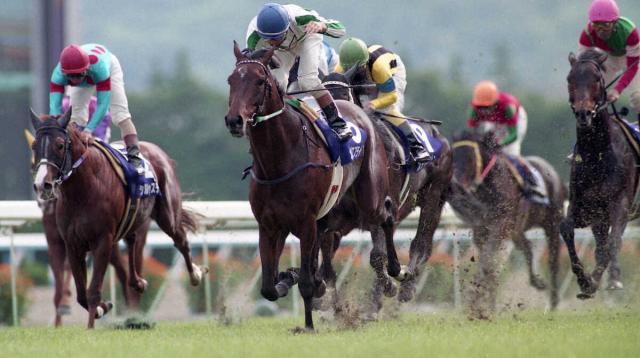 勝因は「馬」一貫して謙虚な振る舞いを見せた河内氏