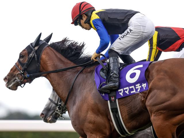 【京王杯SC枠順確定】ママコチャは3枠3番、ロジリオンは4枠4番