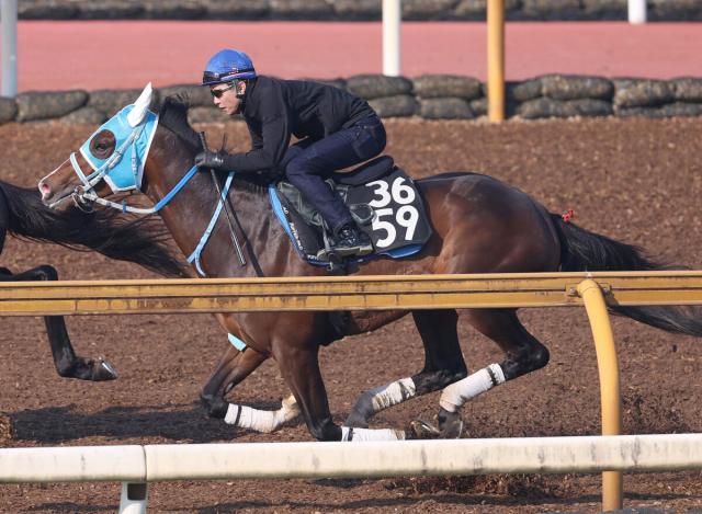 【ユニコーンS】武豊騎手騎乗のメイショウズイウンは4枠5番　前走圧勝のクレーキングは6枠8番　枠順決定