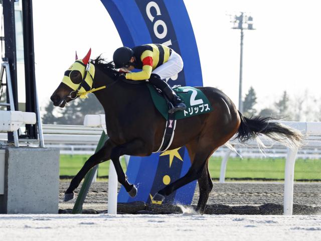 新種牡馬ゴルトマイスター産駒が初V 小野楓馬騎手「スタートが上手な馬」