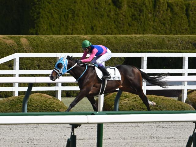 【ユニコーンS予想】東京ダービーにつながる出世レース 未来のダート王目指す3歳馬が集う