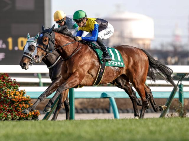 【京王杯SC予想】安田記念への切符をかけた戦い 速い馬場への対応力＆瞬発力が求められるコース
