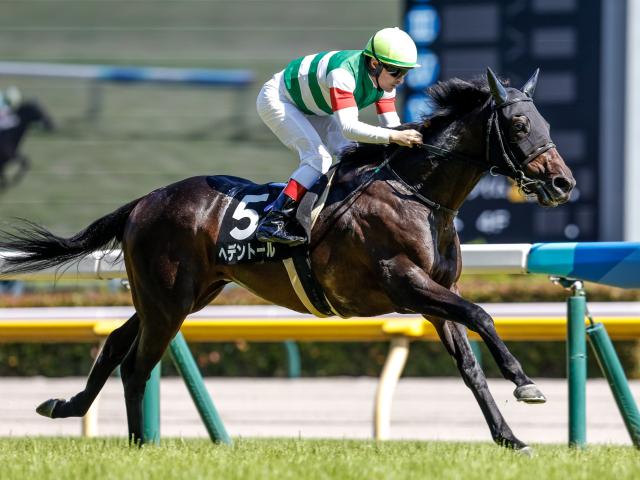 【天皇賞(春)予想】古馬最高の栄誉をかけ有力ステイヤー集結 2度の坂越えがレースのキモ