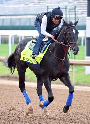 【ケンタッキーダービー】ロドリゲスが取り消し超良血バエザが繰り上がり　有力馬の1頭に