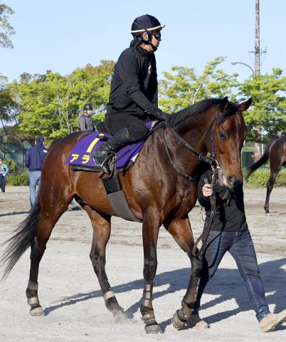 【天皇賞・春】アラタはオーナーも希望した絶好枠　陣営「枠は願ってもないところ」