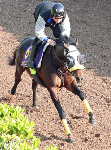 【天皇賞・春】シュヴァリエローズは長丁場に自信あり　陣営「スタミナはあると思う。京都も悪くない」