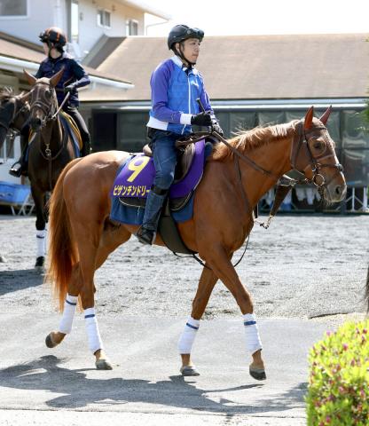 【天皇賞・春】ビザンチンドリームは外めの14番枠にも坂口調教師は悠然　「馬の後ろに入れられればいいですね」